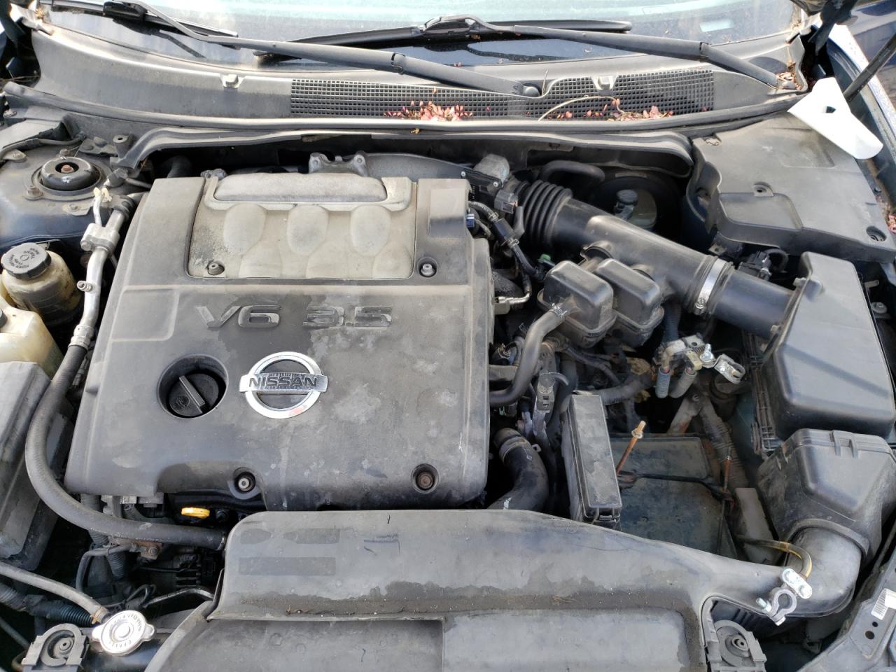 Photo 7 from auction – 2005 NISSAN MAXIMA SE with VIN 1N4BA41E65C863212