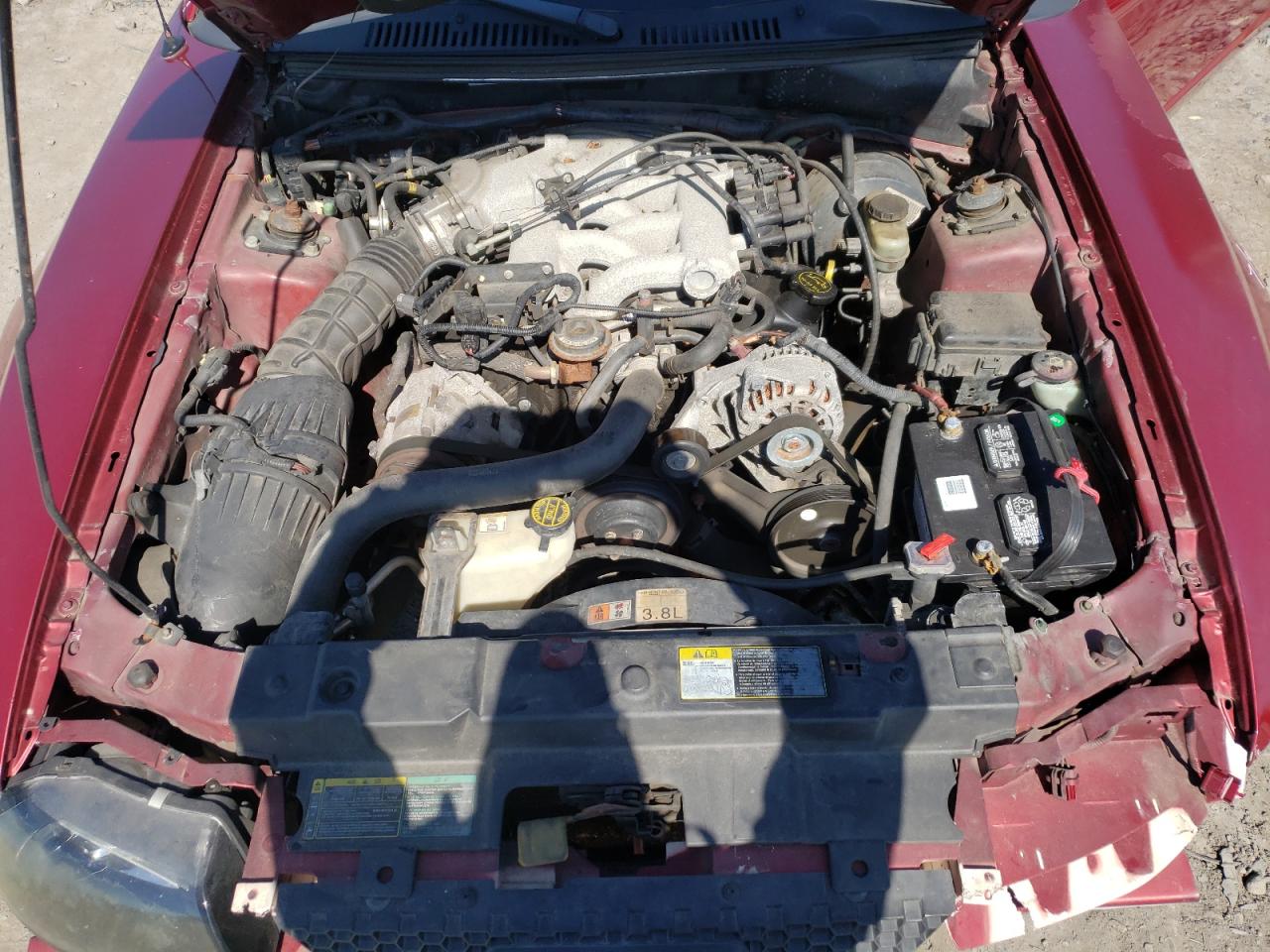 Photo 7 from auction – 2003 FORD MUSTANG with VIN 1FAFP40443F332871