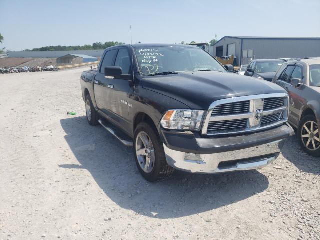 DODGE RAM 1500 2009 with VIN 1D3HB13T89J517697 - Photo from auction