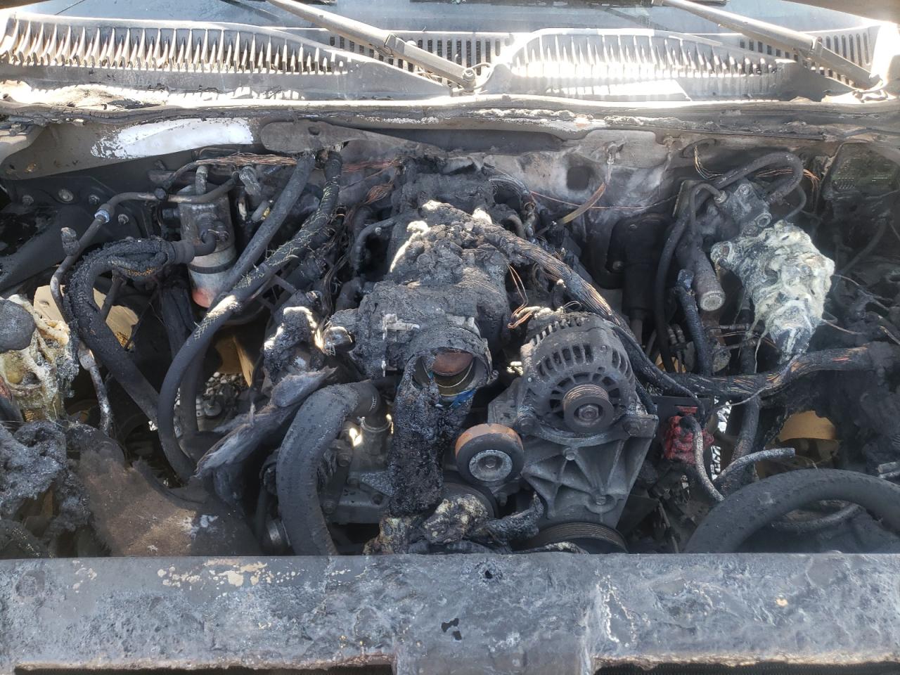 Photo 7 from auction – 2004 GMC YUKON with VIN 1GKEC13Z44R199069