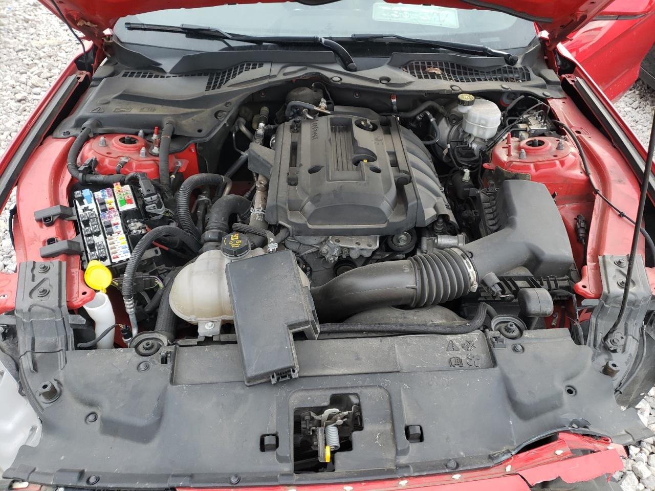 Photo 7 from auction – 2019 FORD MUSTANG with VIN 1FA6P8TH3K5114981
