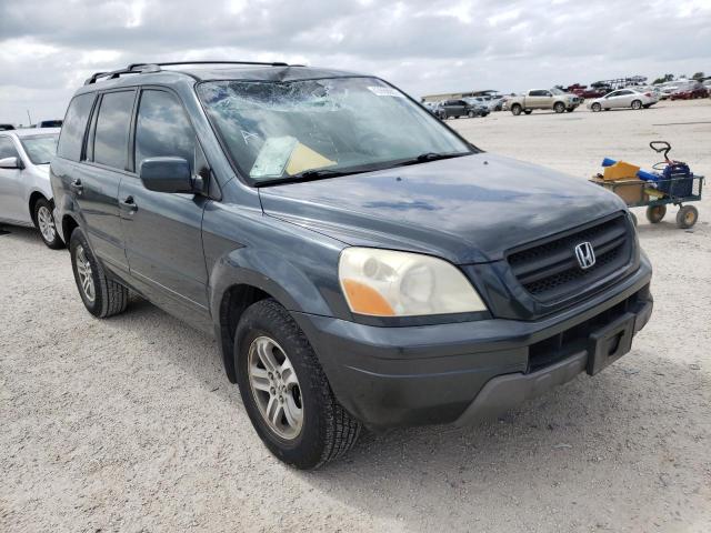 HONDA PILOT EXL 2005 with VIN 5FNYF18575B016017 - Photo from auction