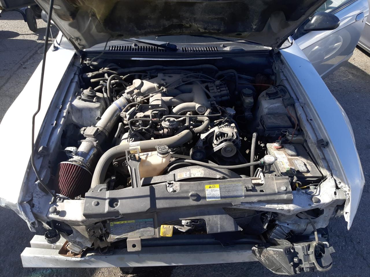 Photo 7 from auction – 2004 FORD MUSTANG with VIN 1FAFP40664F151788