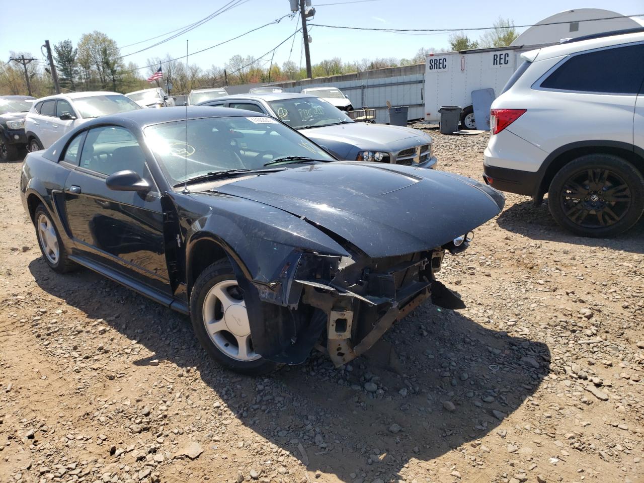 FORD MUSTANG 2003 with VIN 1FAFP40433F441175 - Photo from auction
