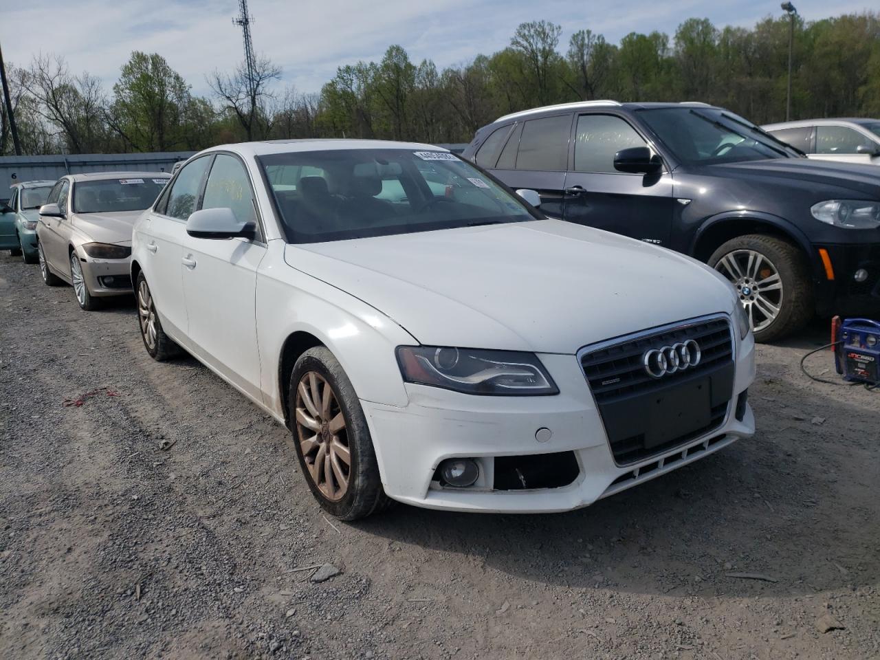 AUDI A4 PREMIUM 2011 with VIN WAUFFAFL6BA085579 - Photo from auction