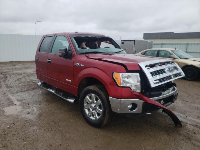 FORD 150 2013 with VIN 1FTFW1ET4DFD68881 - Photo from auction