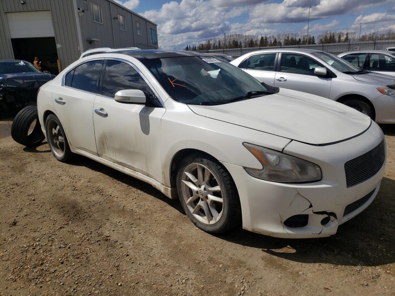 NISSAN MAXIMA S 2009 with VIN 1N4AA51E49C814646 - Photo from auction