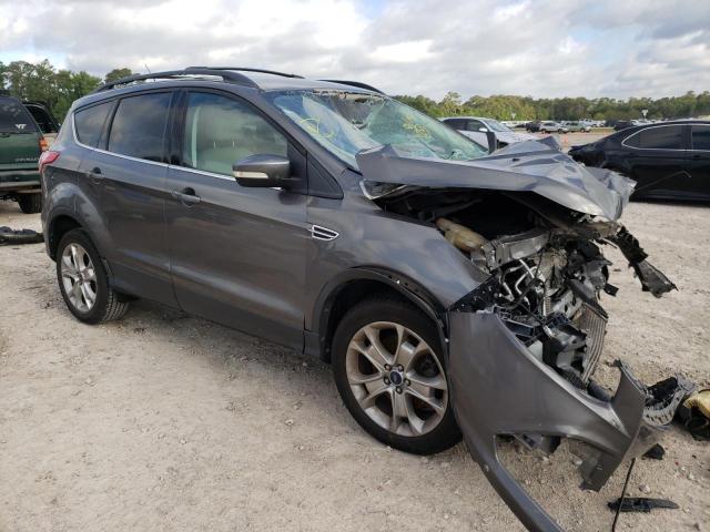 FORD ESCAPE SEL 2013 with VIN 1FMCU0H99DUB15579 - Photo from auction