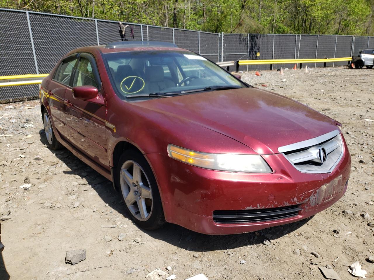 ACURA TL 2004 with VIN 19UUA66234A060110 - Photo from auction
