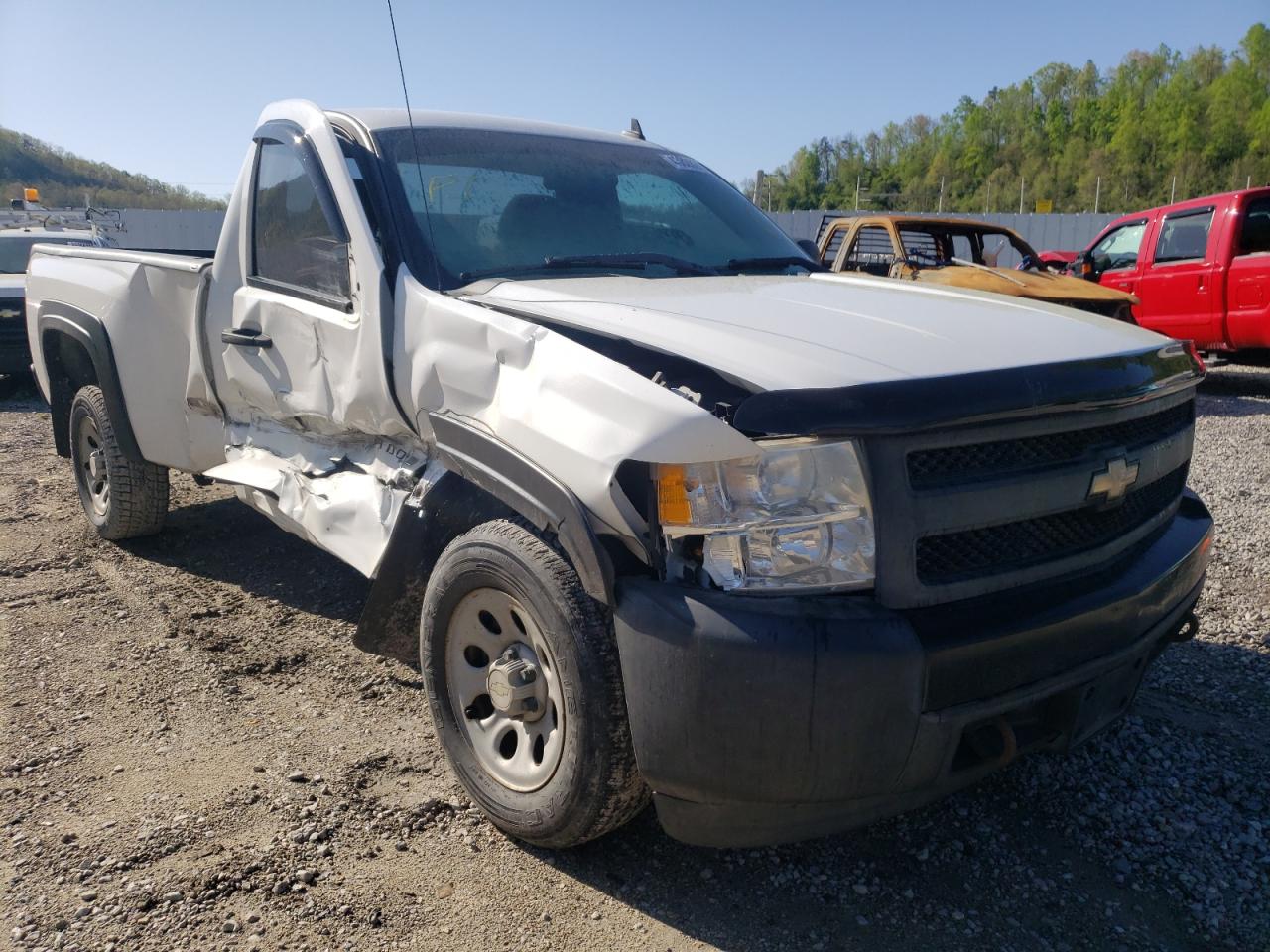 CHEVROLET SILVERADO 2008 with VIN 1GCEC14X58Z219960 - Photo from auction