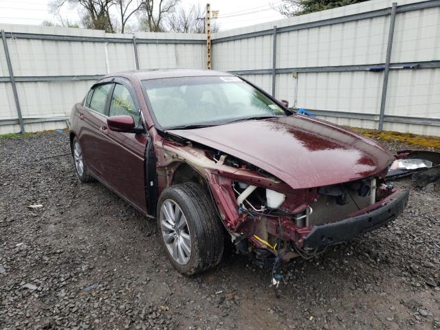 HONDA ACCORD EXL 2011 with VIN 1HGCP2F87BA109023 - Photo from auction