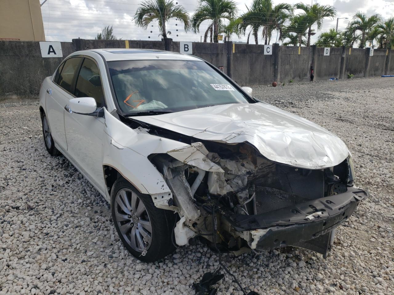 HONDA ACCORD EXL 2011 with VIN 5KBCP3F81BB002580 - Photo from auction