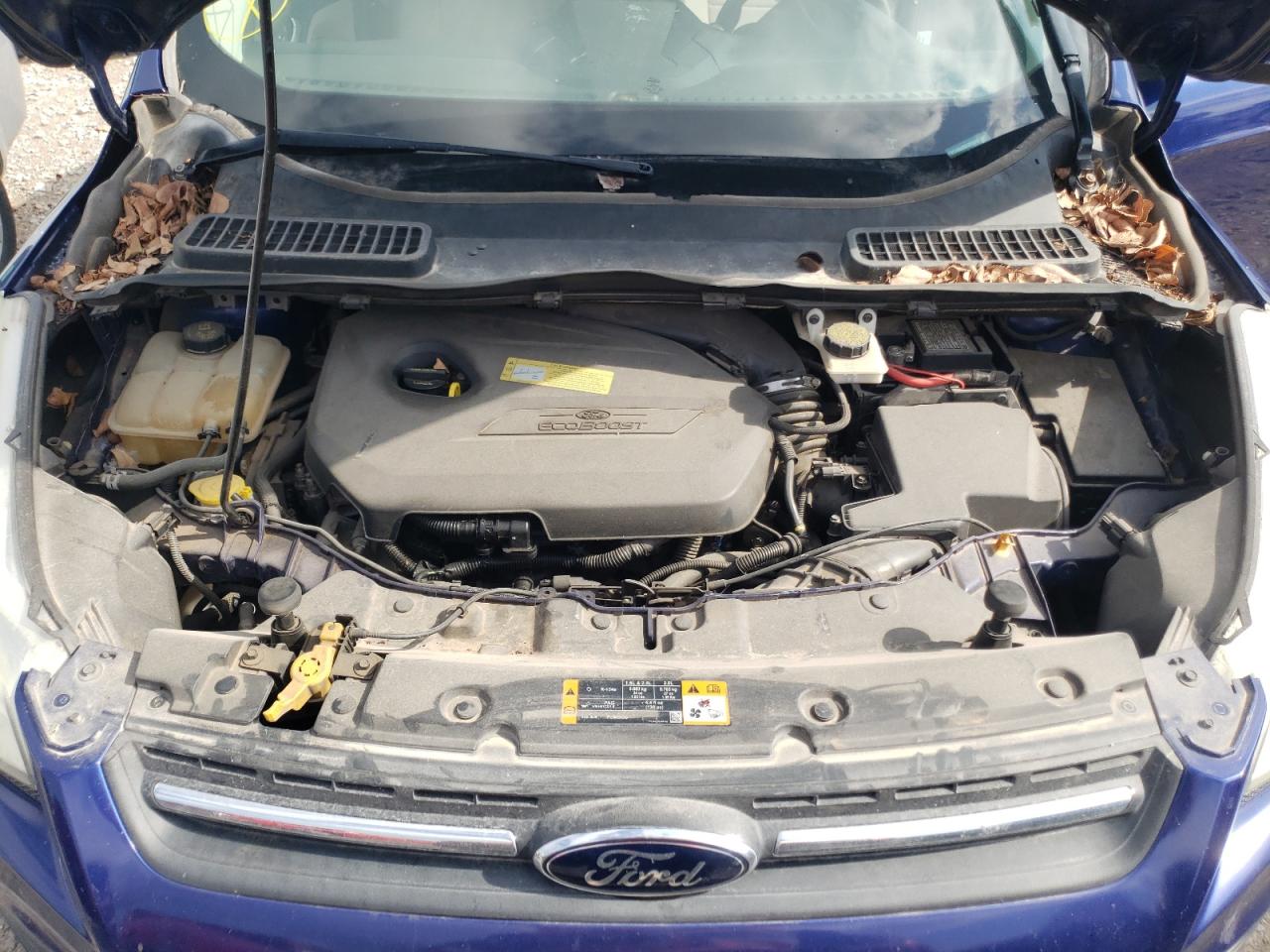 Photo 7 from auction – 2013 FORD ESCAPE SE with VIN 1FMCU0GX0DUB95385