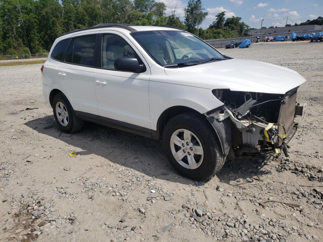 HYUNDAI SANTA FE G 2009 with VIN 5NMSG13D39H299800 - Photo from auction