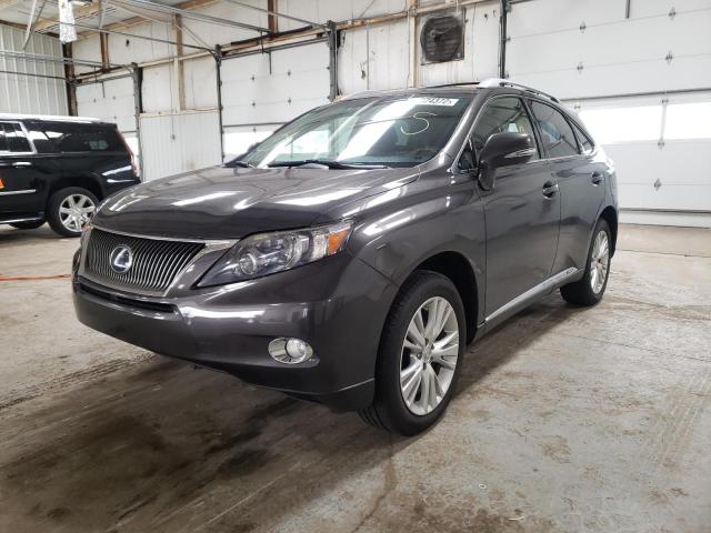 Photo 2 from auction – 2010 LEXUS RX 450 with VIN JTJBC1BA4A2410153