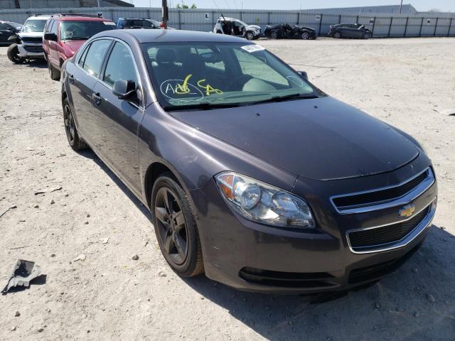 CHEVROLET MALIBU LS 2010 with VIN 1G1ZB5EB3A4108768 - Photo from auction