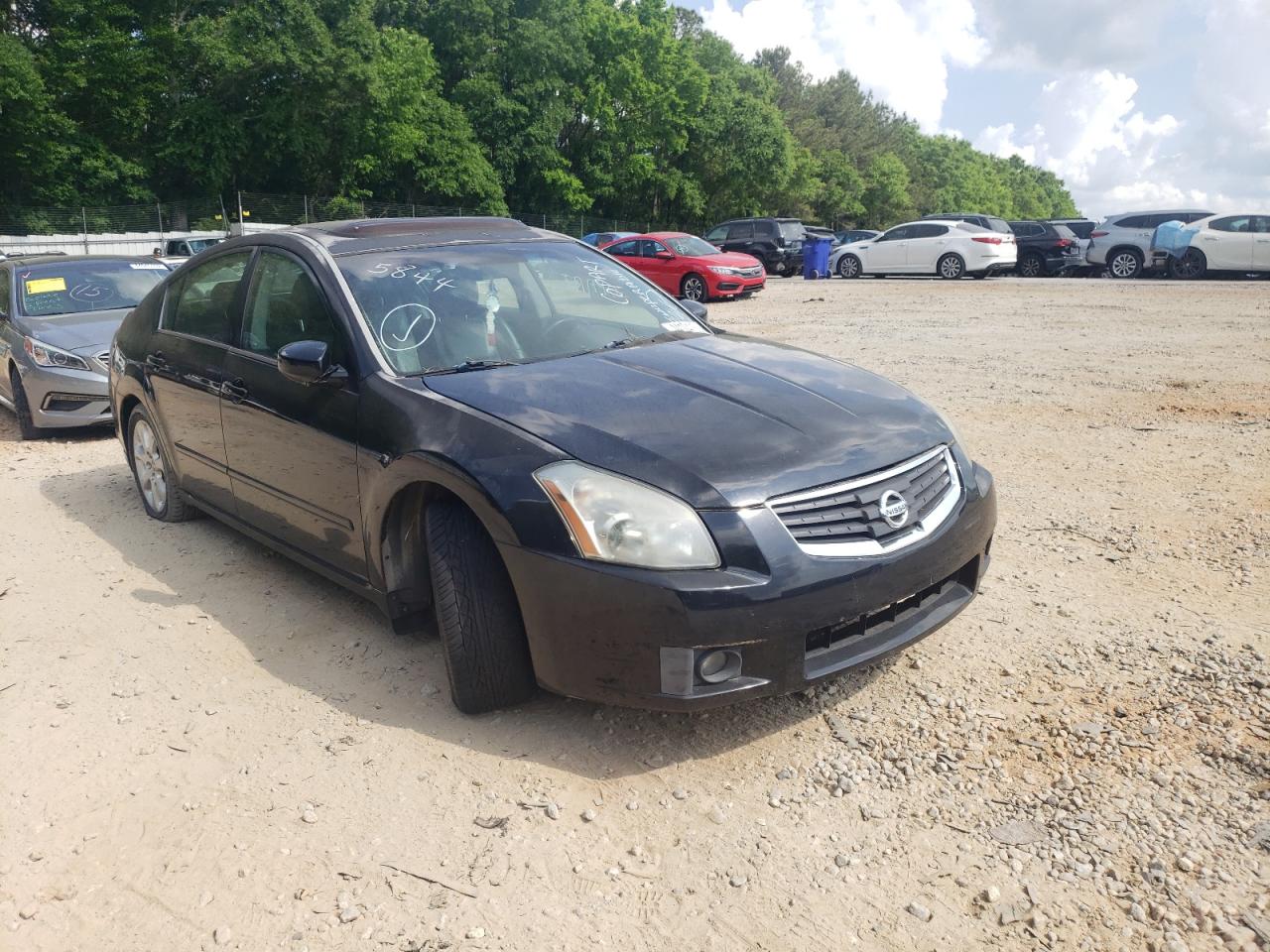 NISSAN MAXIMA SE 2007 with VIN 1N4BA41E07C804899 - Photo from auction