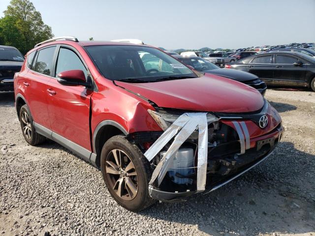 TOYOTA RAV4 XLE 2016 with VIN 2T3WFREV8GW247130 - Photo from auction