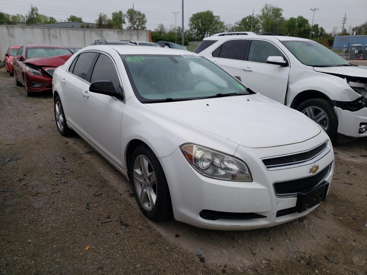 CHEVROLET MALIBU LS 2011 with VIN 1G1ZA5EU8BF348473 - Photo from auction