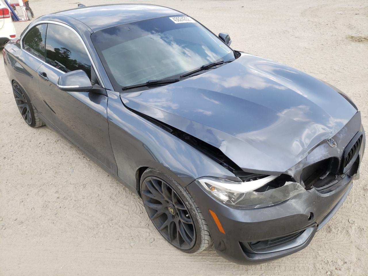 BMW 228 I 2015 with VIN WBA1F5C5XFV257229 - Photo from auction