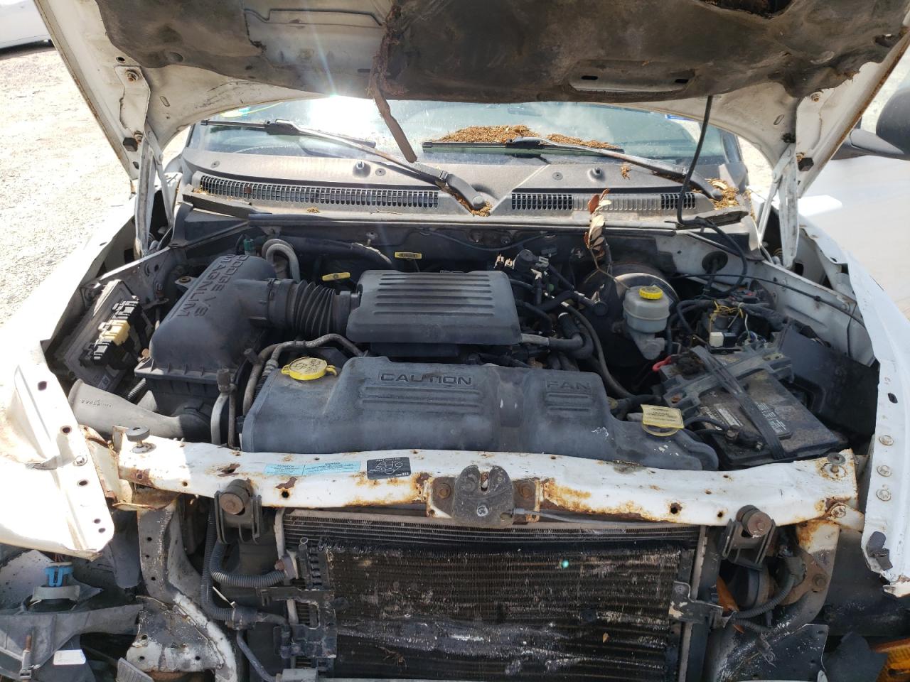 Photo 7 from auction – 2000 DODGE DAKOTA QUA with VIN 1B7GL2AN8YS672271