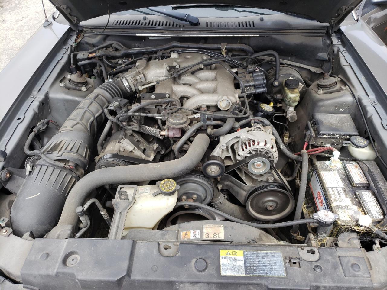 Photo 7 from auction – 2002 FORD MUSTANG with VIN 1FAFP40432F152666