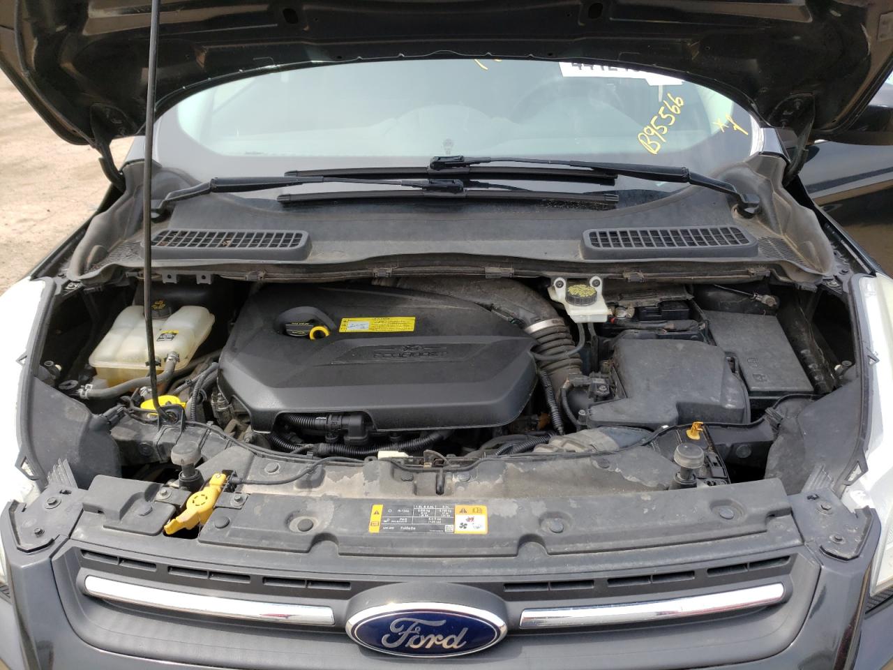 Photo 7 from auction – 2013 FORD ESCAPE SE with VIN 1FMCU0GX4DUB95566