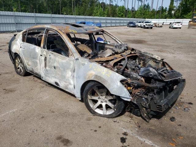 NISSAN MAXIMA SE 2007 with VIN 1N4BA41E47C825836 - Photo from auction