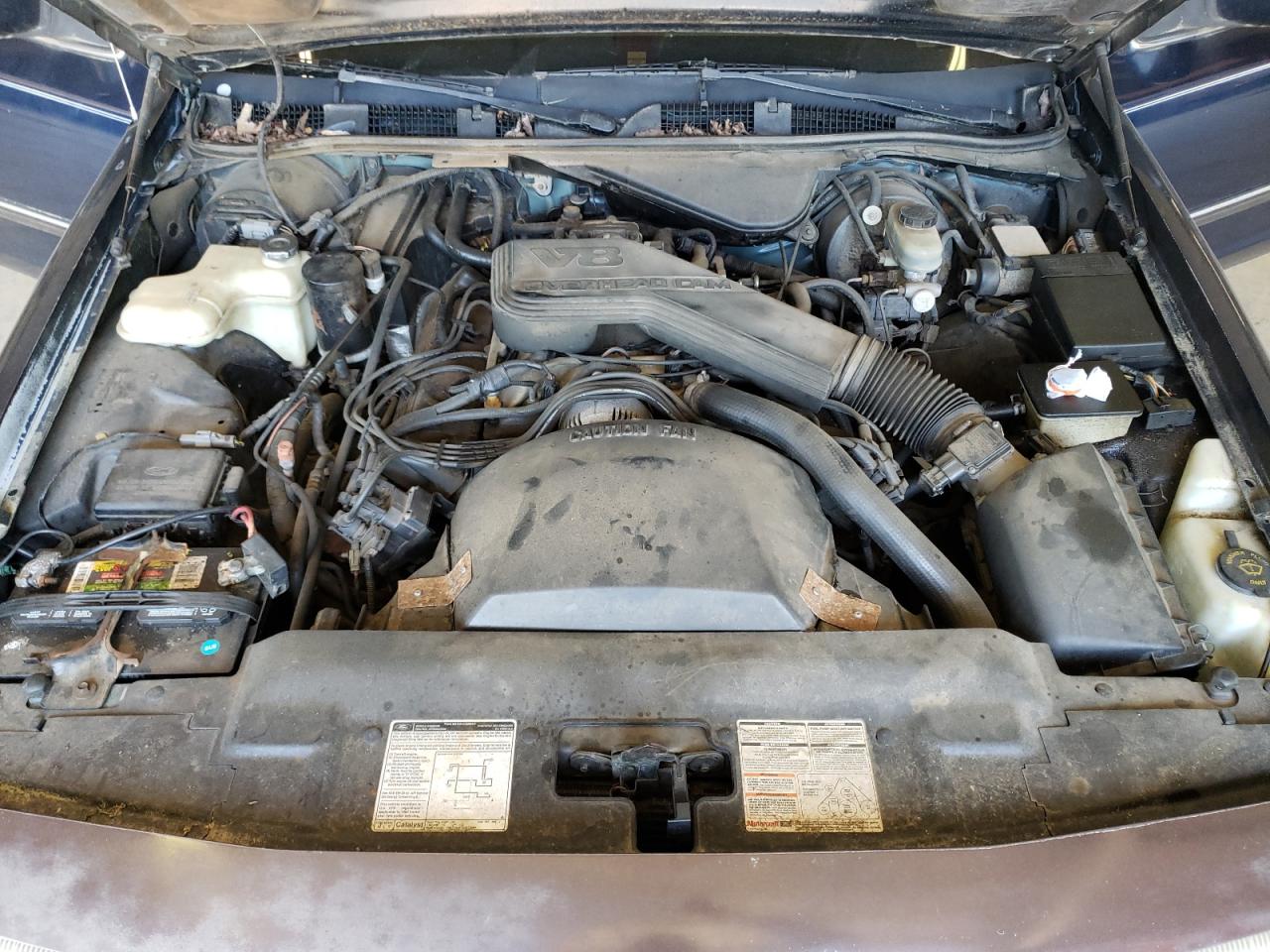 Photo 7 from auction – 1992 FORD CROWN VICT with VIN 2FACP73W5NX249457