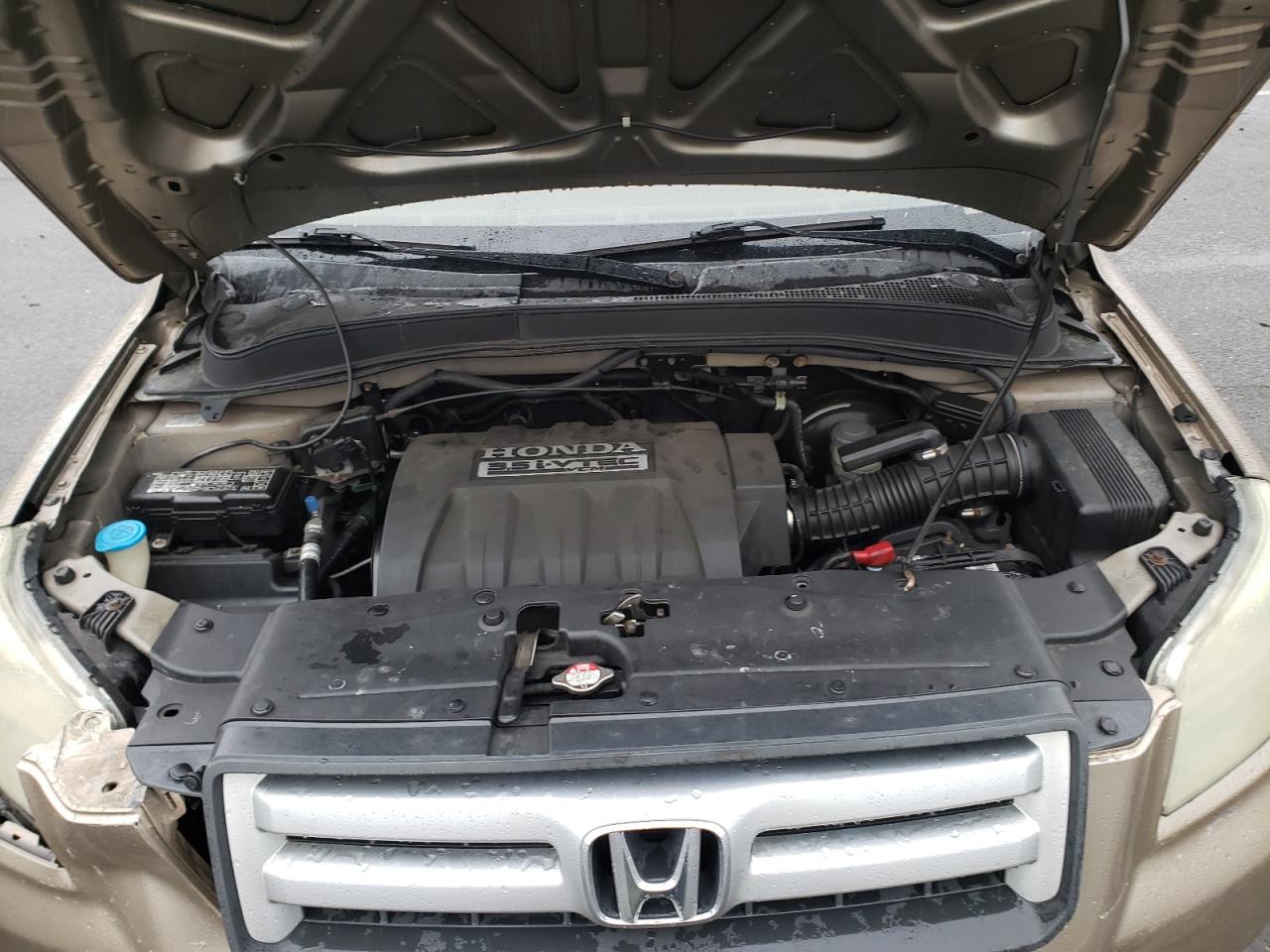 Photo 7 from auction – 2006 HONDA PILOT EX with VIN 5FNYF28776B000859