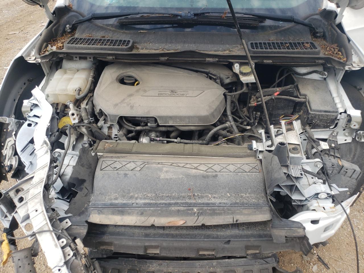 Photo 7 from auction – 2014 FORD ESCAPE SE with VIN 1FMCU0GX5EUB28976