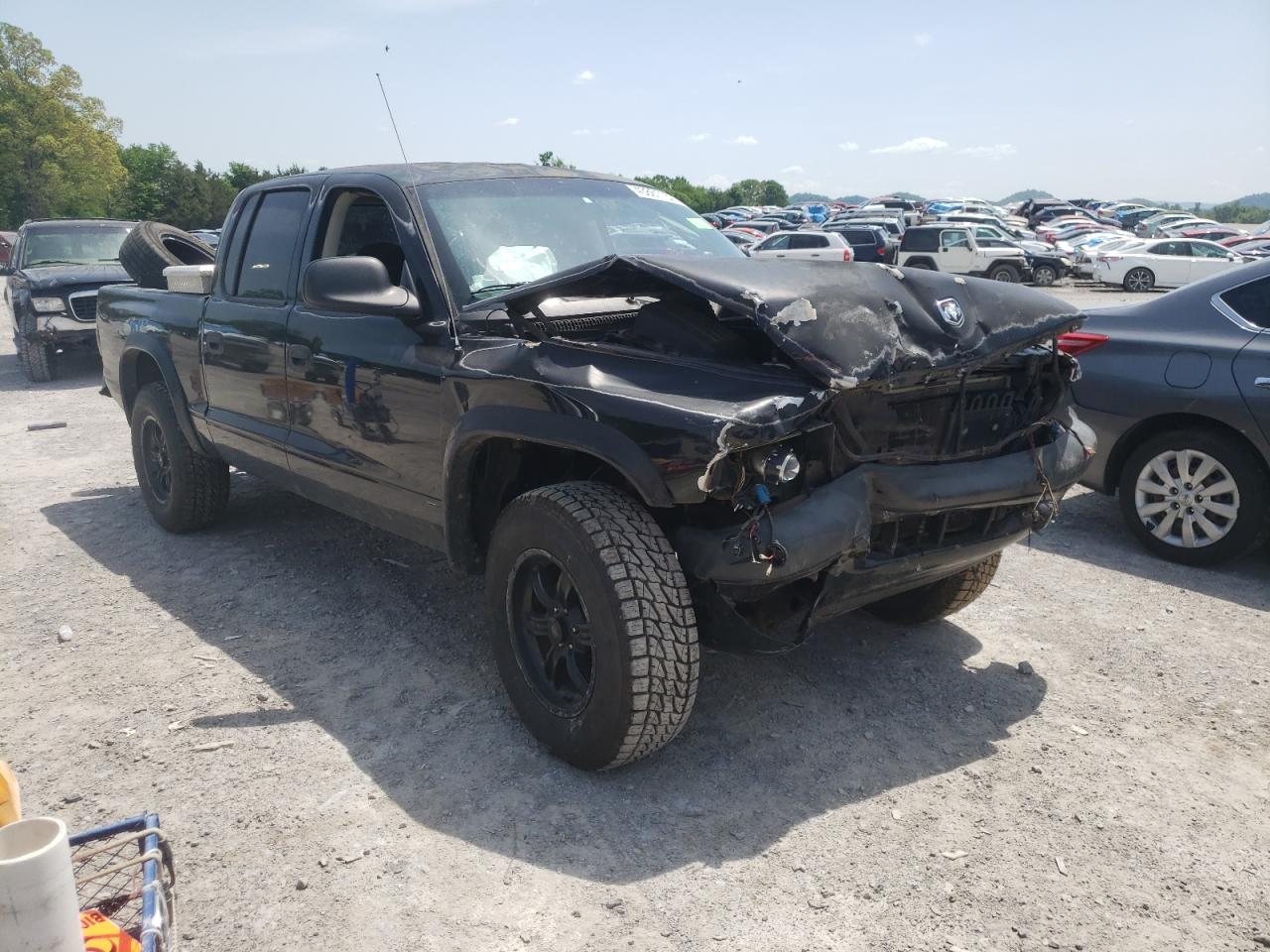 DODGE DAKOTA QUA 2001 with VIN 1B7GG2AZ11S116154 - Photo from auction