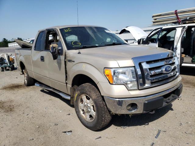FORD F150 SUPER 2009 with VIN 1FTPX14V39FA43117 - Photo from auction