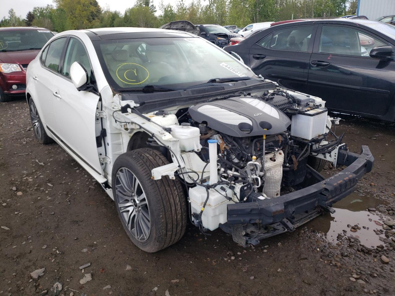 KIA CADENZA PR 2014 with VIN KNALN4D73E5123425 - Photo from auction
