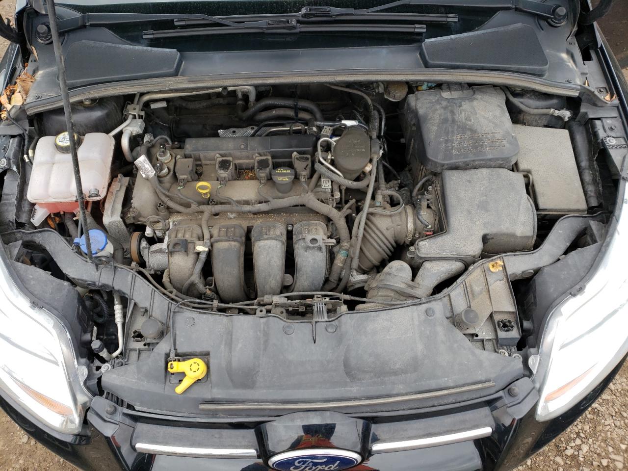 Photo 7 from auction – 2012 FORD FOCUS SEL with VIN 1FAHP3M28CL416639