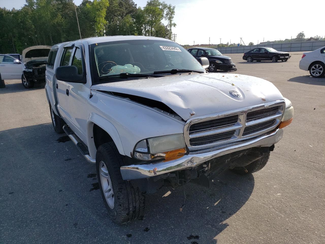DODGE DAKOTA QUA 2004 with VIN 1D7HG48N24S552833 - Photo from auction