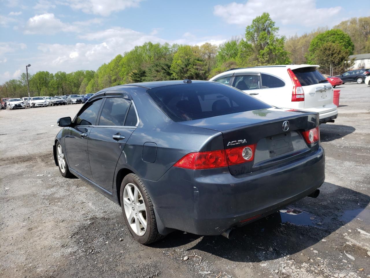 Photo 3 from auction – 2005 ACURA TSX with VIN JH4CL96895C000752