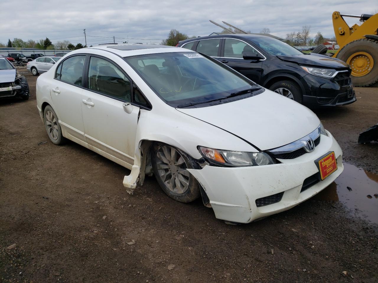 HONDA CIVIC EX 2011 with VIN 19XFA1F80BE034346 - Photo from auction