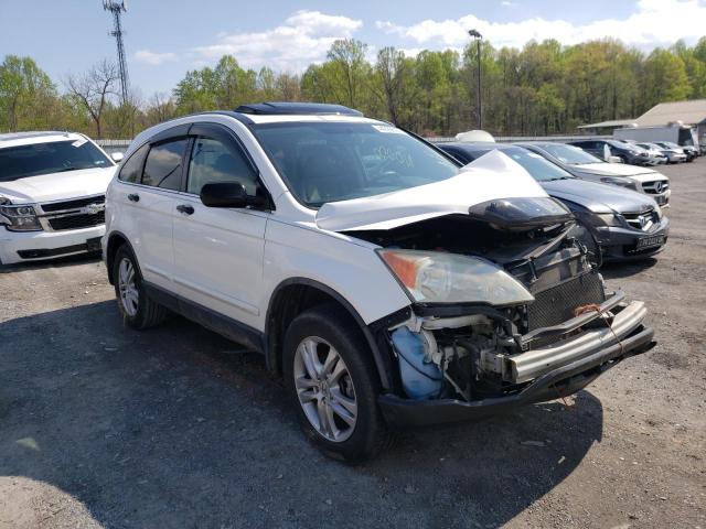 HONDA CR-V EX 2011 with VIN 5J6RE4H50BL091850 - Photo from auction