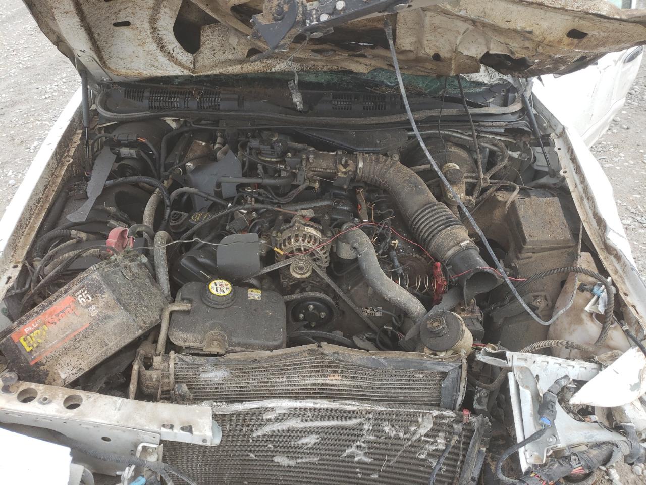 Photo 7 from auction – 2004 FORD CROWN VICT with VIN 2FAFP71W34X127307