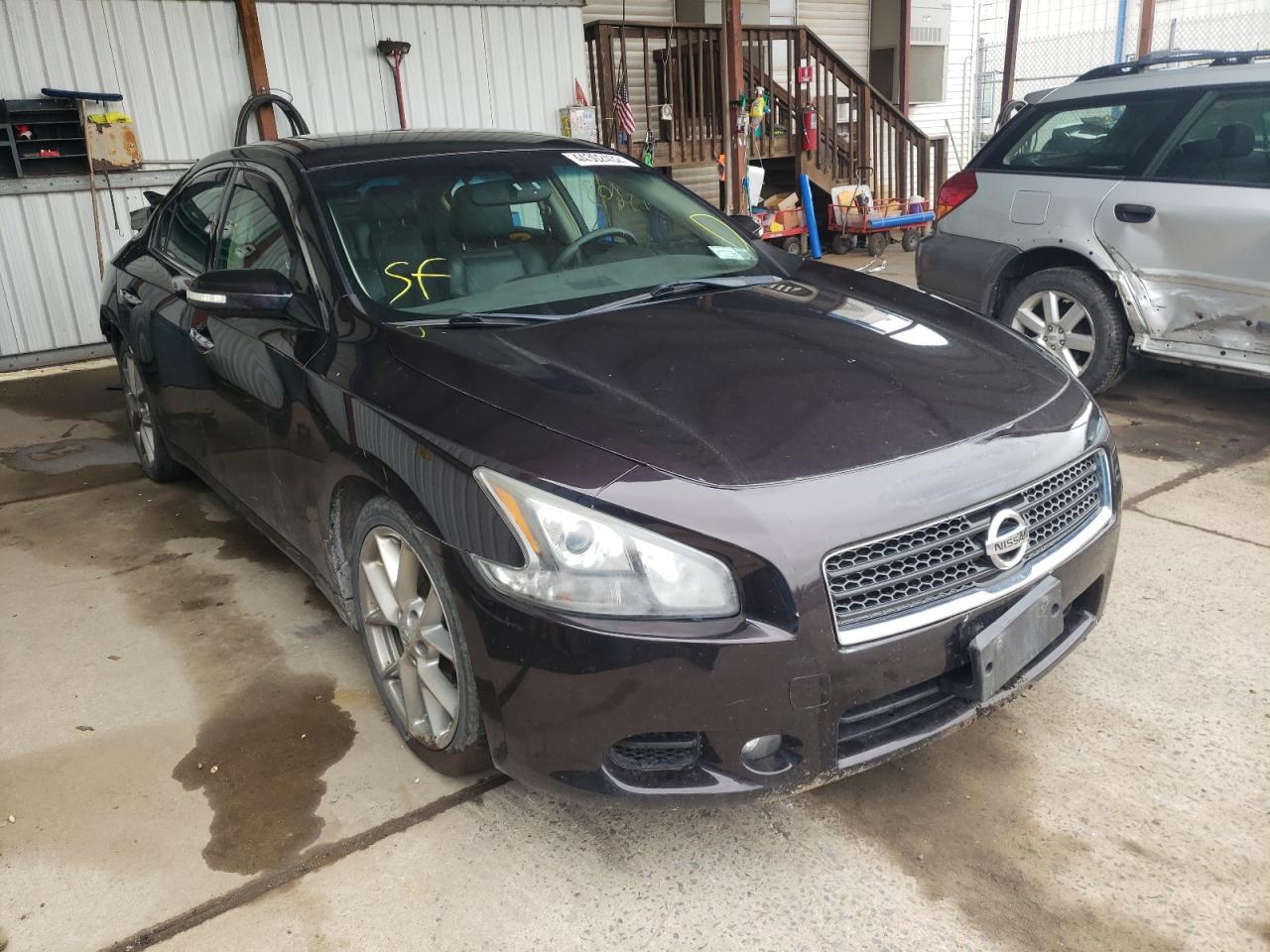 NISSAN MAXIMA S 2011 with VIN 1N4AA5AP8BC833059 - Photo from auction