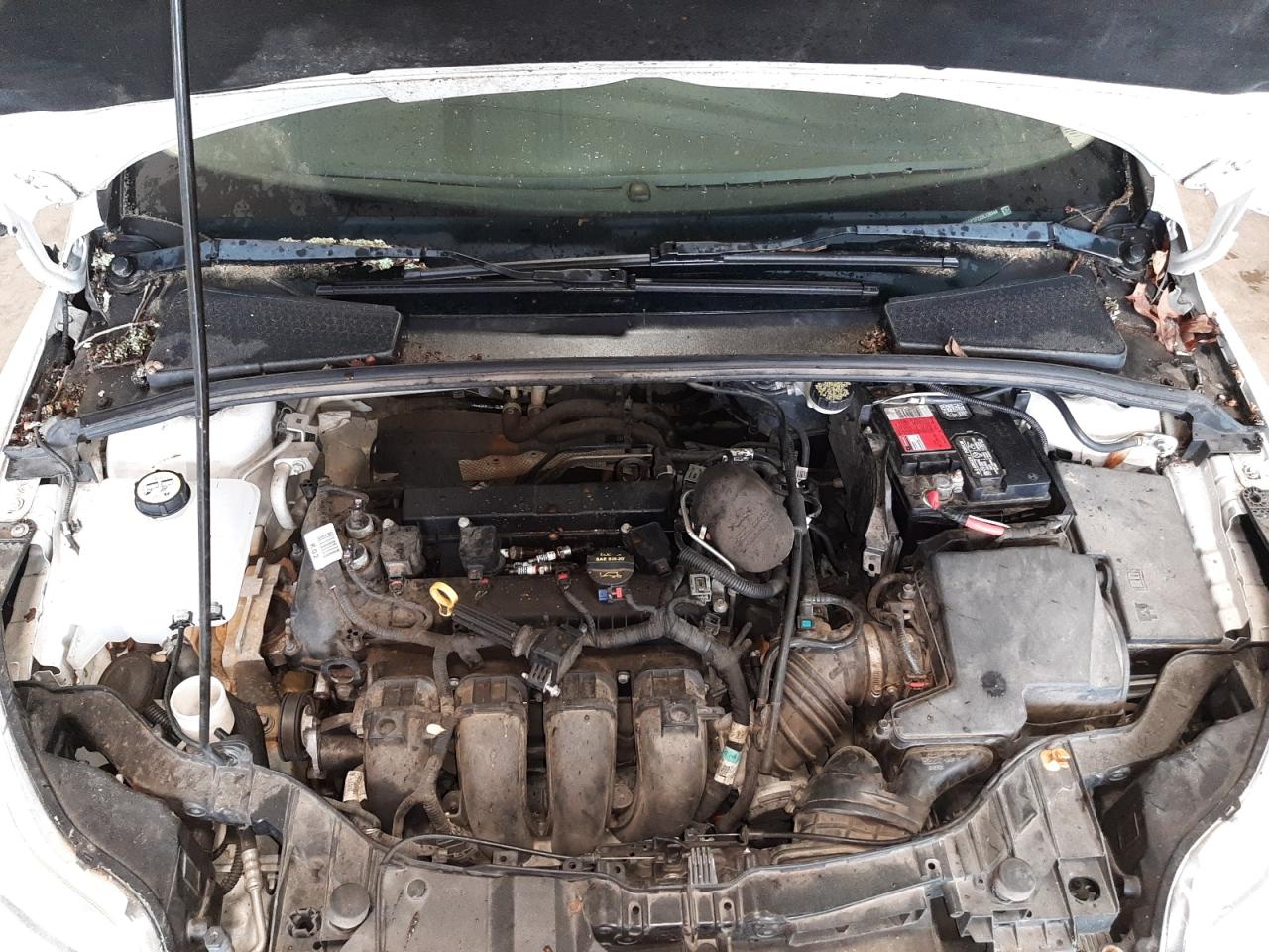 Zdjęcie 7 z aukcji – 2013 FORD FOCUS SE z VIN 1FADP3F23DL139444
