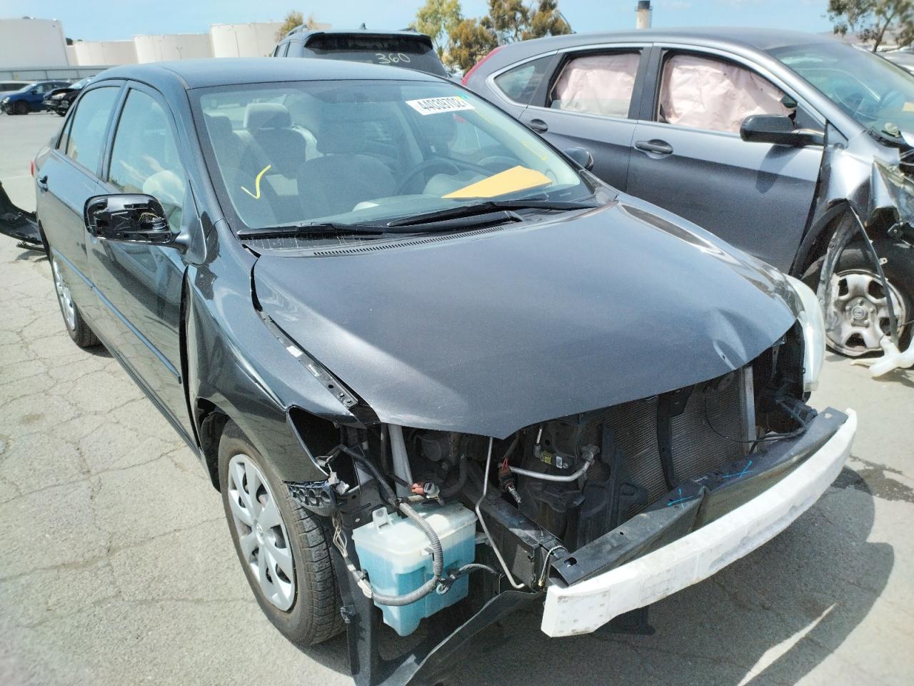 TOYOTA COROLLA BA 2011 with VIN JTDBU4EE2B9160159 - Photo from auction