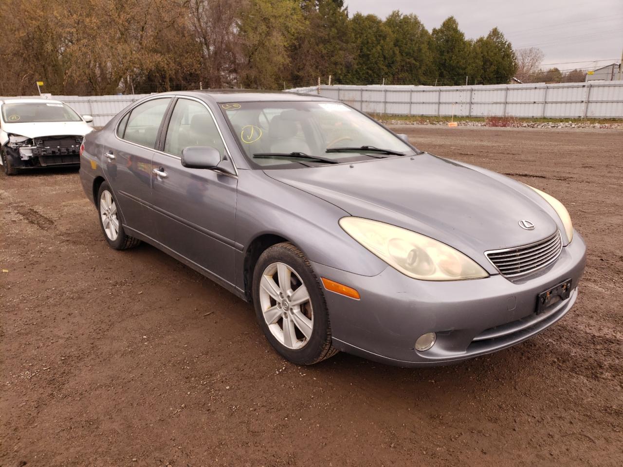 LEXUS ES 330 2005 with VIN JTHBA30G455099788 - Photo from auction