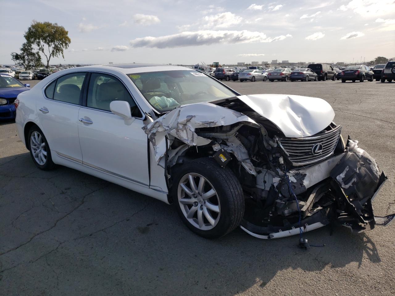 LEXUS LS 460 2008 with VIN JTHBL46F185080666 - Photo from auction