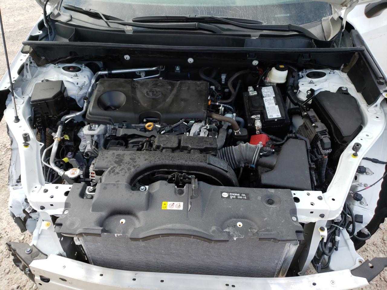 Photo 7 from auction – 2021 TOYOTA RAV4 LE with VIN 2T3H1RFV3MC154650