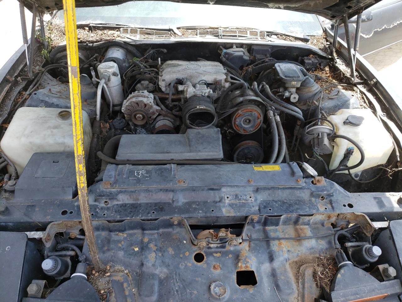 Photo 7 from auction – 1989 PONTIAC FIREBIRD with VIN 1G2FS21S0KL227596