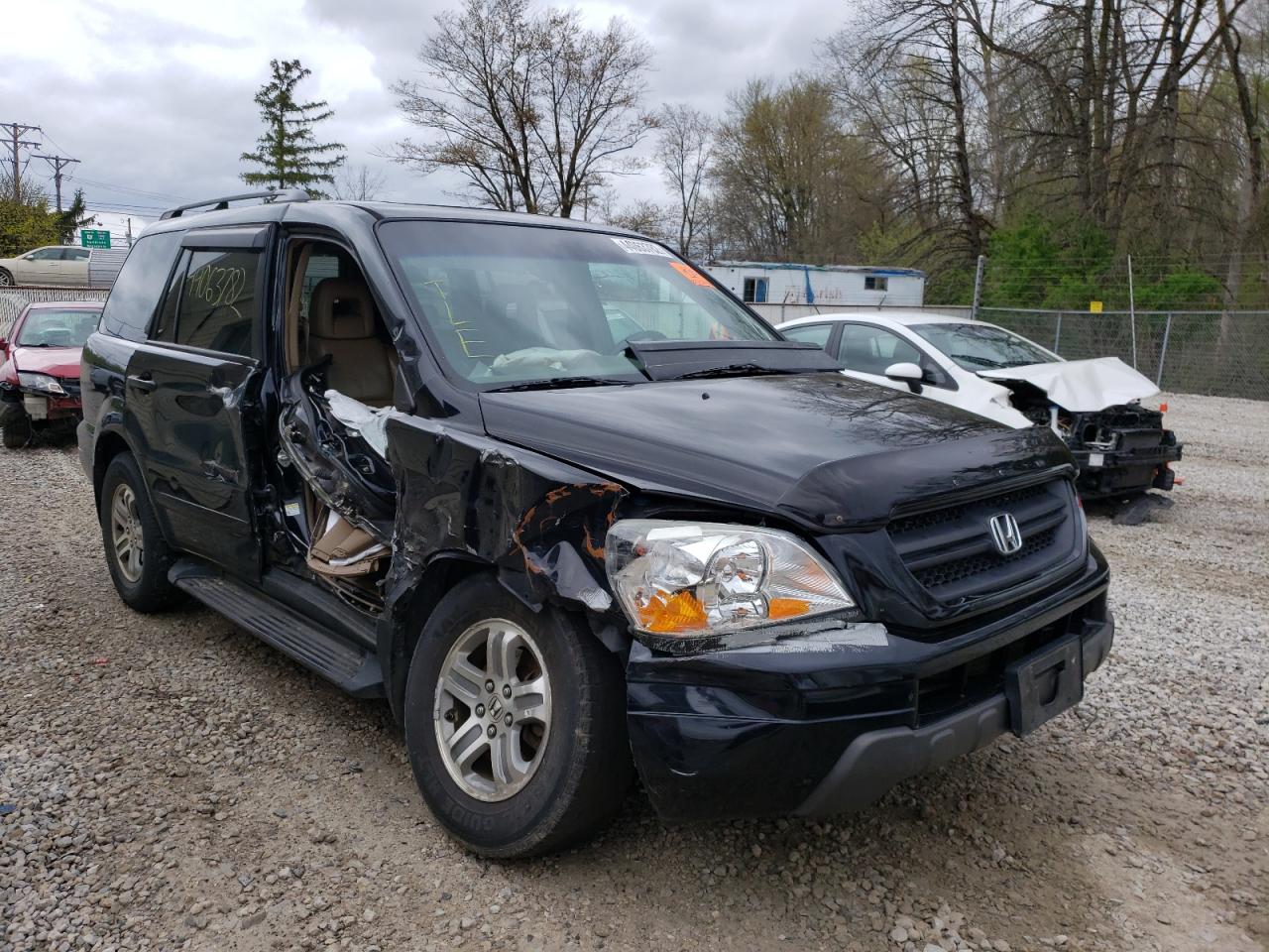 HONDA PILOT EXL 2005 with VIN 5FNYF18525B038412 - Photo from auction