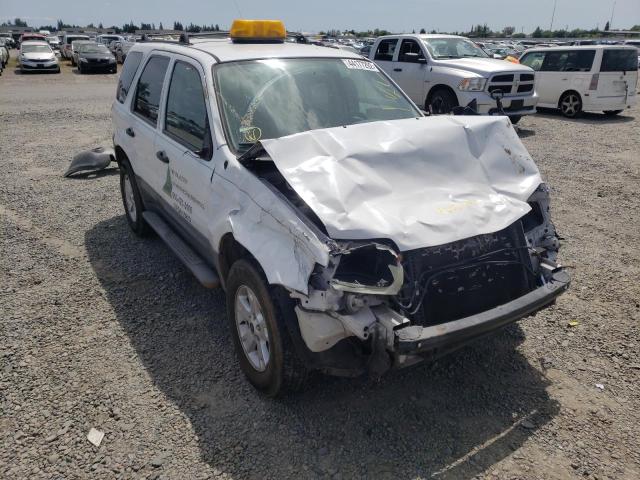 Photo 1 from auction – 2005 FORD ESCAPE XLT with VIN 1FMYU93155KD54006