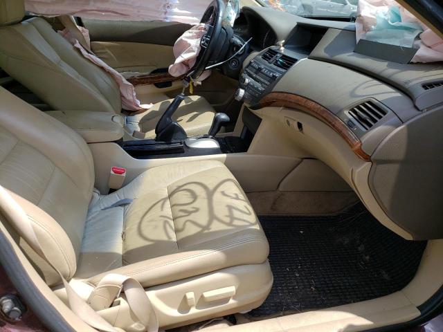 Photo 5 from auction – 2010 HONDA ACCORD EXL with VIN 5KBCP3F83AB007441